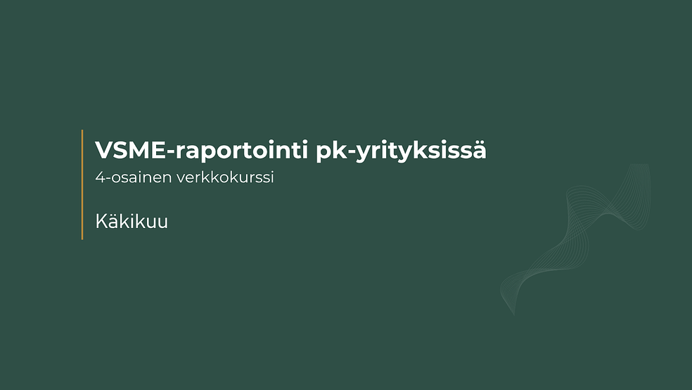 VSME-raportointi pk-yrityksissä by Käkikuu Oy